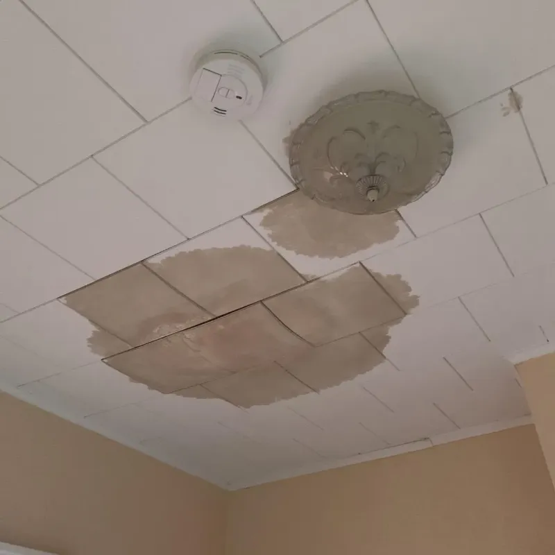 Ceiling Water Damage Repair in Cutchogue, NY